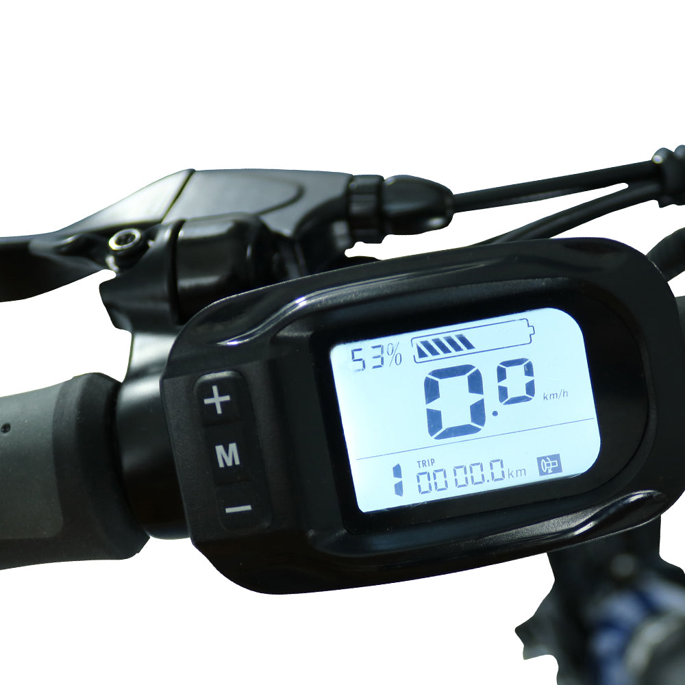 ΗΛΕΚΤΡΙΚΟ ΠΟΔΗΛΑΤΟ BLAUPUNKT FIENE 500