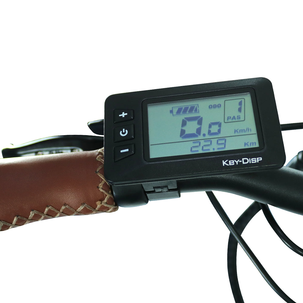 ΗΛΕΚΤΡΙΚΟ ΠΟΔΗΛΑΤΟ BLAUPUNKT FRIDA 500